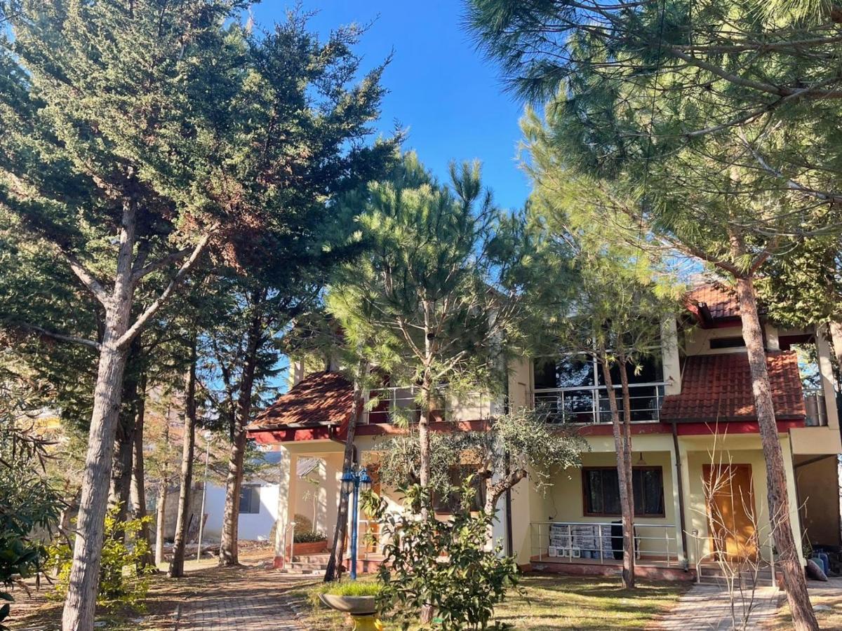 Hotel Garden Villa Ardo Golem  Exterior photo